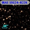 IRAS 19124-0228