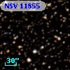 NSV 11855