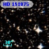 HD 181075