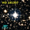HD 181307