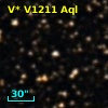 V* V1211 Aql
