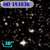 HD 181836