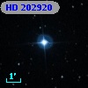 HD 202920