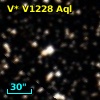 V* V1228 Aql