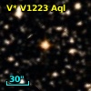 V* V1223 Aql