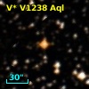 V* V1238 Aql