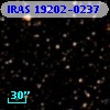 IRAS 19202-0237