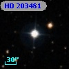 HD 203481