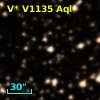 V* V1135 Aql