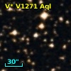 V* V1271 Aql