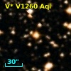 V* V1260 Aql