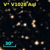 V* V1028 Aql
