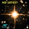 HD 187437