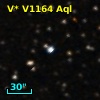 V* V1164 Aql