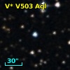 V* V503 Aql