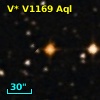 V* V1169 Aql