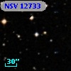 NSV 12733