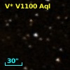 V* V1100 Aql
