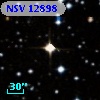 NSV 12898