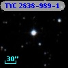 TYC 2838-989-1