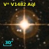 V* V1482 Aql