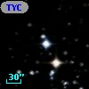 TYC 5162-1919-1