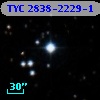 TYC 2838-2229-1