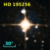 HD 195256