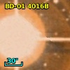 BD-01  4016B
