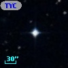 TYC  334-173-1