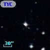 TYC  335-211-1