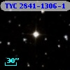 TYC 2841-1306-1