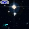 TYC  338-239-1