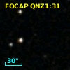 FOCAP QNZ1:31