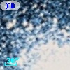 [CBS2002] C18386+0709