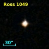 Ross 1049