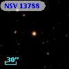 NSV 13788