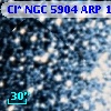 Cl* NGC 5904    ARP    1042