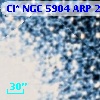 Cl* NGC 5904    ARP    2035