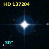 HD 137204