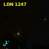 LDN 1247