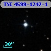 TYC 4599-1247-1