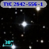 TYC 2842-556-1