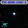 TYC 4599-1285-1