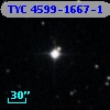 TYC 4599-1667-1