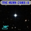 TYC 4599-2103-1