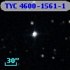 TYC 4600-1561-1