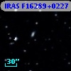 IRAS F16289+0227