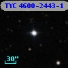 TYC 4600-2443-1