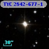 TYC 2842-677-1